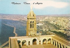 254-meilleurs voeux